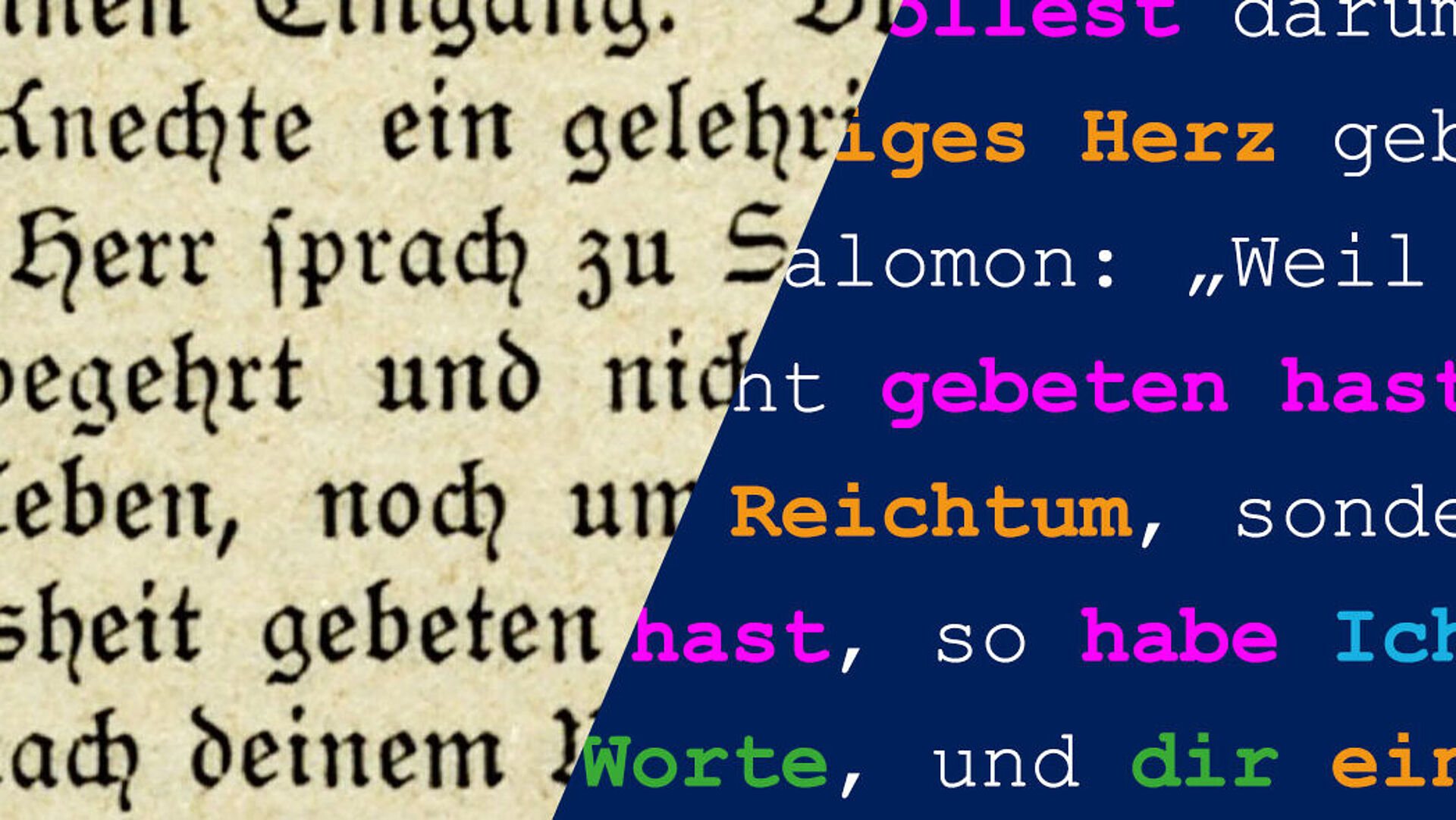 Die Evolution von komplexen Textmustern