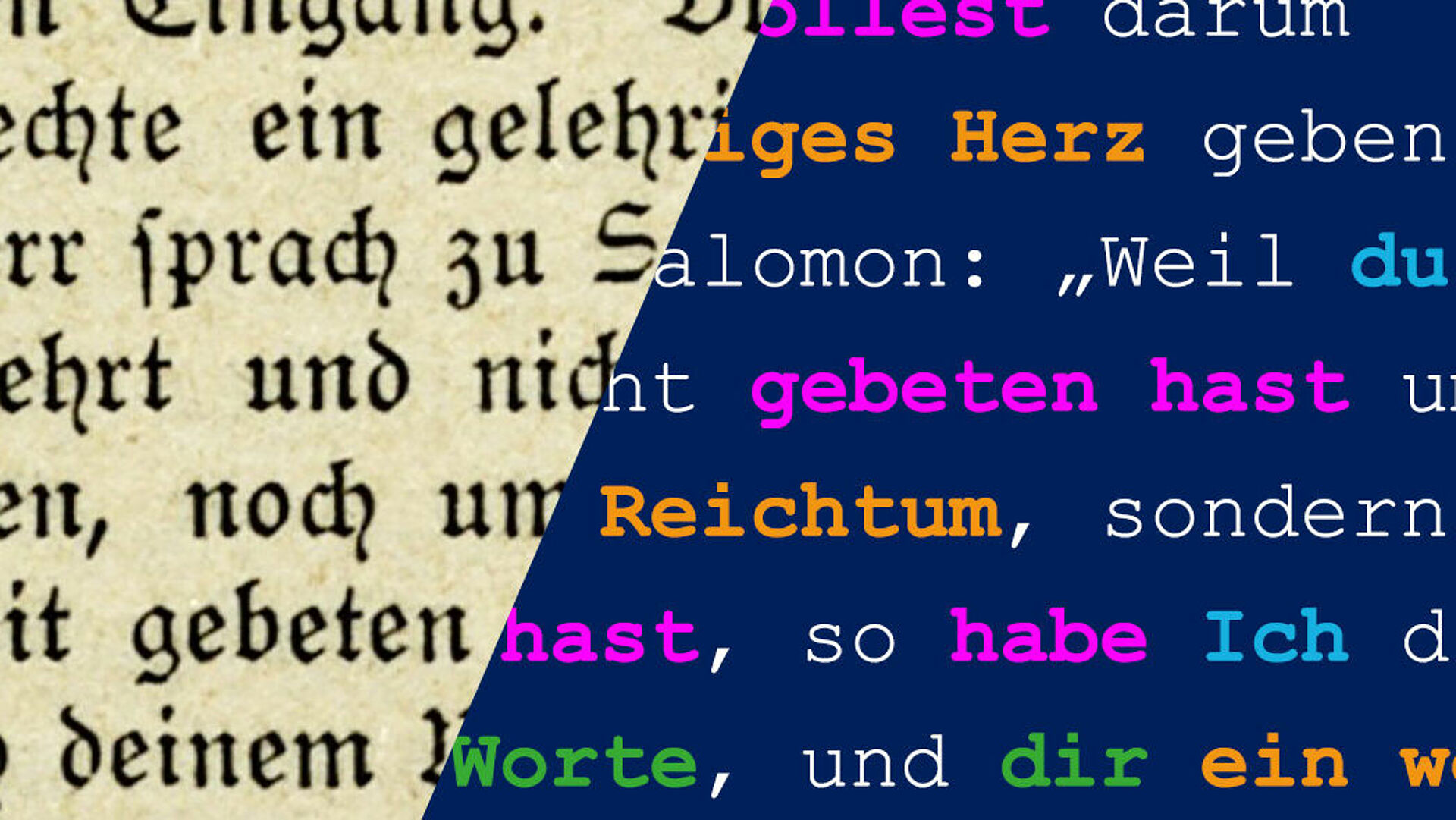 Die Evolution von komplexen Textmustern